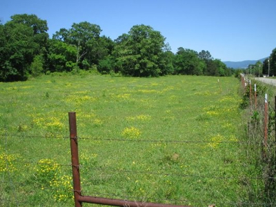 Wolf Mtn Ranch  160 Acres - image 7