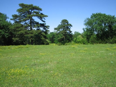 Wolf Mtn Ranch  160 Acres - image 8