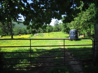 Wolf Mtn Ranch  160 Acres - image 9