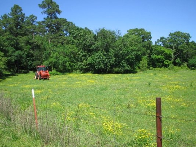 Wolf Mtn Ranch  160 Acres - image 10