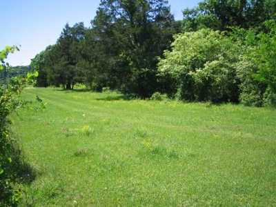 Wolf Mtn Ranch  160 Acres - image 12