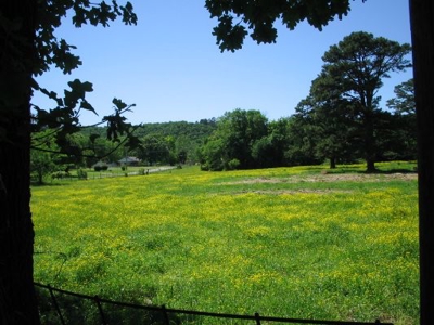 Wolf Mtn Ranch  160 Acres - image 13