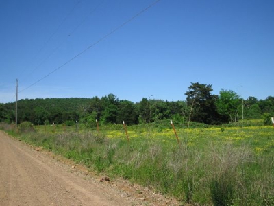 Wolf Mtn Ranch  160 Acres - image 20