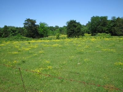 Wolf Mtn Ranch  160 Acres - image 22