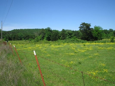 Wolf Mtn Ranch  160 Acres - image 24