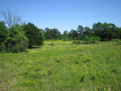 Wolf Mtn Ranch  160 Acres - image 26