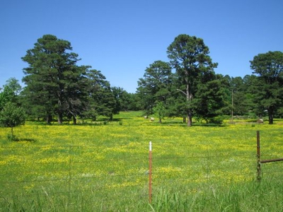 Wolf Mtn Ranch  160 Acres - image 30
