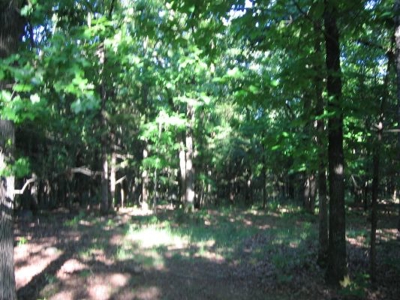 Wolf Mtn Ranch  160 Acres - image 33