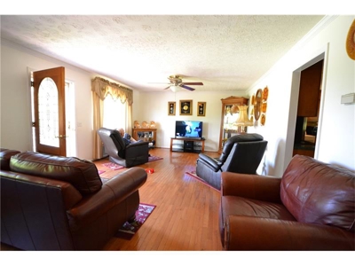 10 Acre Farm For Sale In Talking Rock Georgia - image 4