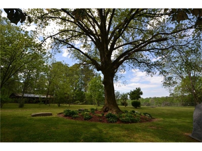 10 Acre Farm For Sale In Talking Rock Georgia - image 6