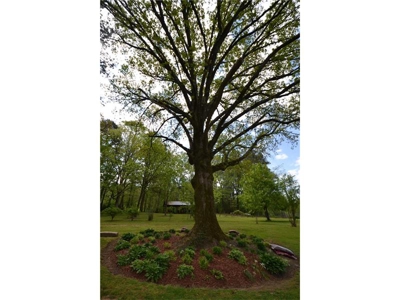 10 Acre Farm For Sale In Talking Rock Georgia - image 16