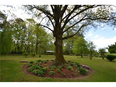 10 Acre Farm For Sale In Talking Rock Georgia - image 24