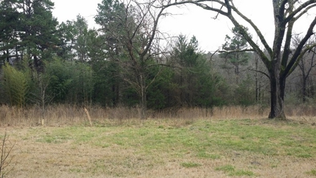 Country Home With Acreage And Minerals For Sale!! - image 5