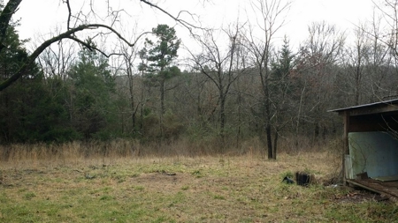 Country Home With Acreage And Minerals For Sale!! - image 10