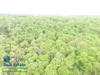 Franklin County Land iAuction - image 7