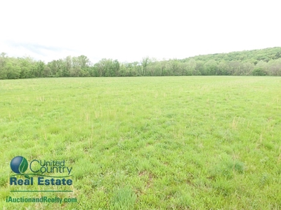 Franklin County Land iAuction - image 8