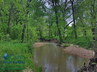 Franklin County Land iAuction - image 10