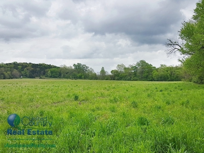 Franklin County Land iAuction - image 14