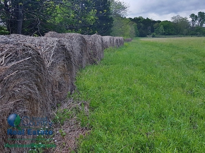 Franklin County Land iAuction - image 17