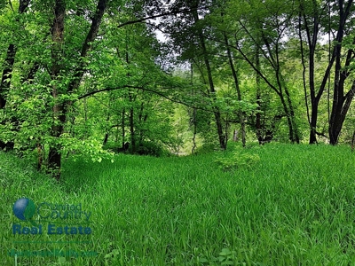 Franklin County Land iAuction - image 19