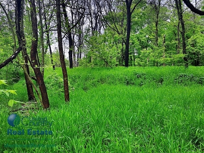 Franklin County Land iAuction - image 23