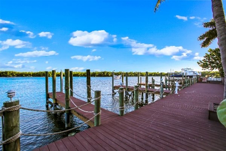ONLINE AUCTION! Experience Natural Florida Beauty and Luxury - image 20
