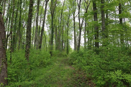 Bedford Indiana Home and Land  for Sale | Online Auction - image 24