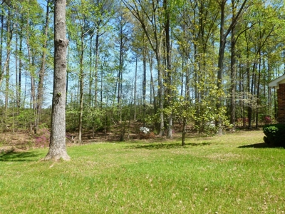 Westmoreland Co. Brick Ranch & 5 Acres - image 9
