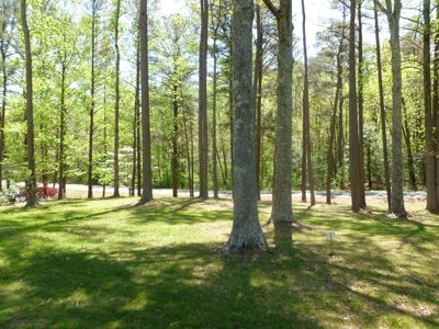 Westmoreland Co. Brick Ranch & 5 Acres - image 13