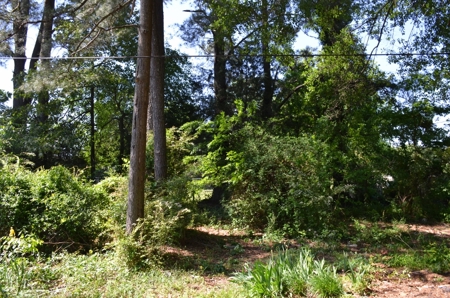 Online Auction House at 509 Crestline Drive Hartselle Al - image 4