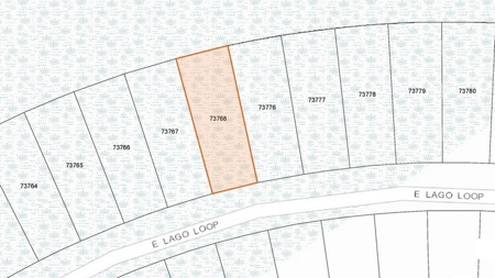 Coastal Lot for Sale at Auction, Texas Gulf Coast - image 2