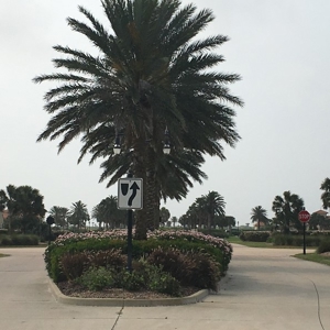 Coastal Lot for Sale at Auction, Texas Gulf Coast - image 4