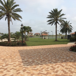 Coastal Lot for Sale at Auction, Texas Gulf Coast - image 8