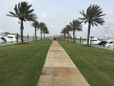 Coastal Lot for Sale at Auction, Texas Gulf Coast - image 14