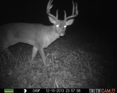 Clark County Illinois 78 Acre Hunting and Tillable Farm - image 7
