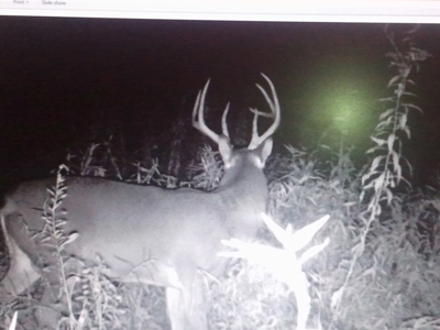 Clark County Illinois 78 Acre Hunting and Tillable Farm - image 9