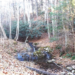 Real Estate & Personal Property Auction, Elk Creek, Va. - image 2