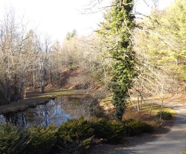 Real Estate & Personal Property Auction, Elk Creek, Va. - image 7