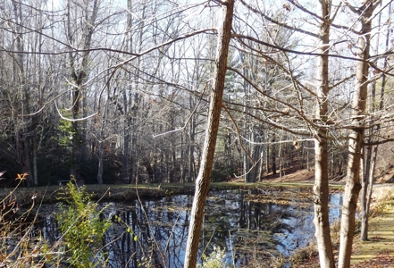 Real Estate & Personal Property Auction, Elk Creek, Va. - image 12