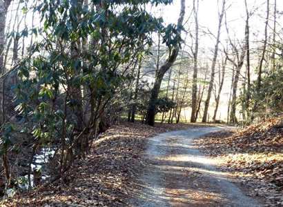 Real Estate & Personal Property Auction, Elk Creek, Va. - image 16