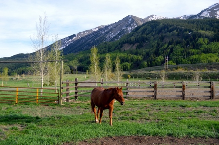 Crested Butte, Colorado Lakefront Acreage For Sale - image 7