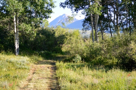 Crested Butte, Colorado Lakefront Acreage For Sale - image 9