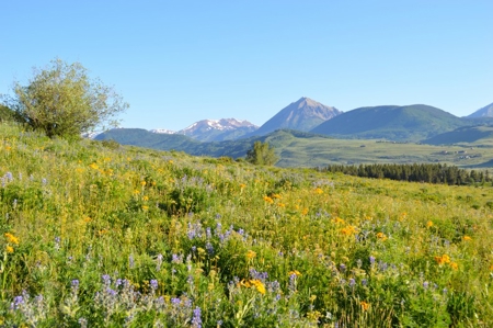 Crested Butte, Colorado Lakefront Acreage For Sale - image 16