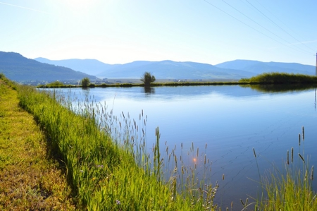 Crested Butte, Colorado Lakefront Acreage For Sale - image 17