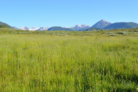 Crested Butte, Colorado Lakefront Acreage For Sale - image 22