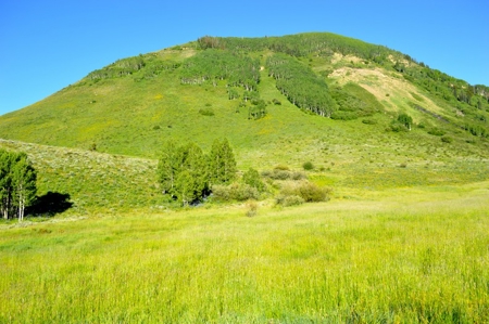 Crested Butte, Colorado Lakefront Acreage For Sale - image 23