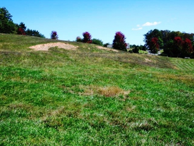 Absolute Real Estate & Personal Property Auction! Sparta, Nc - image 7