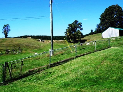 Absolute Real Estate & Personal Property Auction! Sparta, Nc - image 9