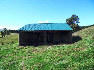 Absolute Real Estate & Personal Property Auction! Sparta, Nc - image 10