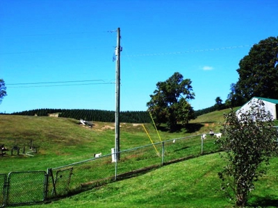 Absolute Real Estate & Personal Property Auction! Sparta, Nc - image 13